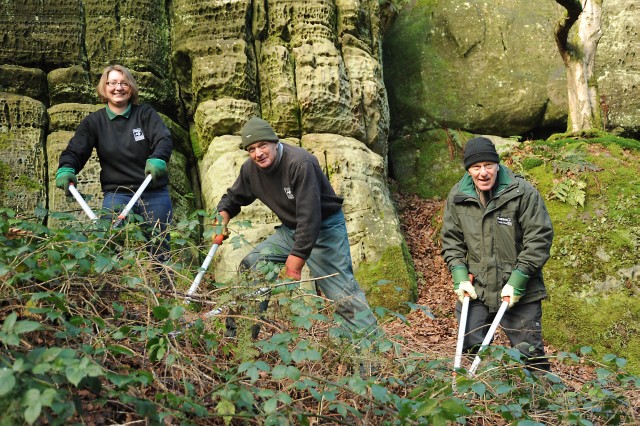 Volunteers rock on